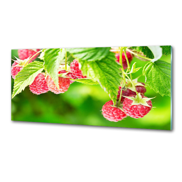 Pannello retrocucina con stampa raffigurante lamponi in giardino