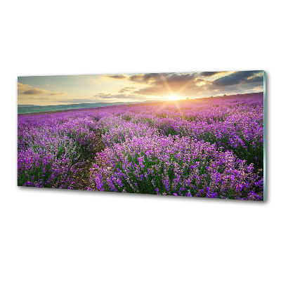 Pannello paraschizzi cucina con motivo di campo di lavanda