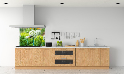 Rivestimento parete cucina con motivo 