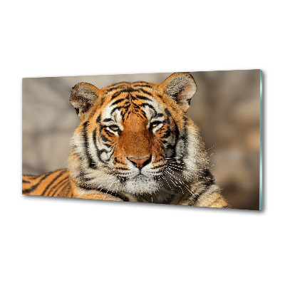 Pannello retrocucina con motivo Tigre del Bengala