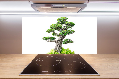 Rivestimento parete cucina con motivo albero bonsai
