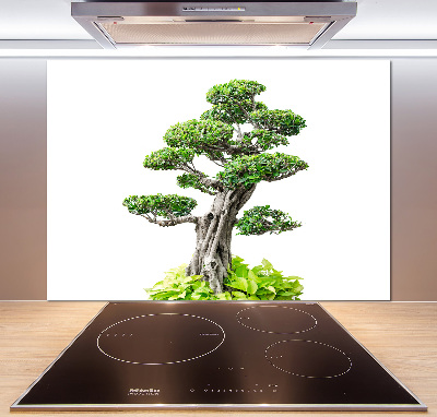 Rivestimento parete cucina con motivo albero bonsai