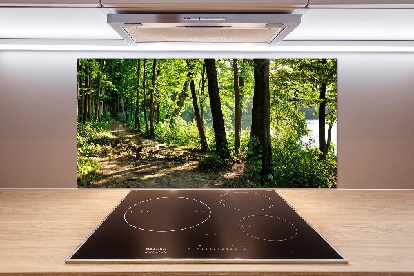 Rivestimento parete cucina con decorazione 