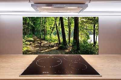 Rivestimento parete cucina con decorazione 