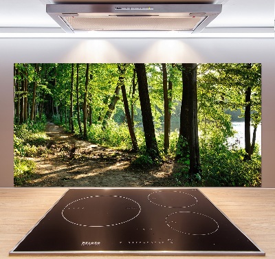 Rivestimento parete cucina con decorazione 