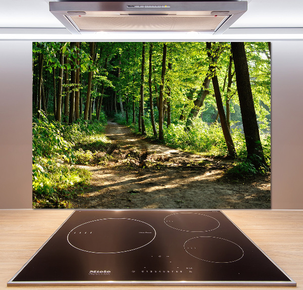 Rivestimento parete cucina con decorazione 