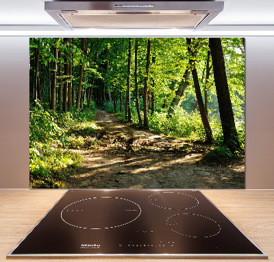 Rivestimento parete cucina con decorazione 