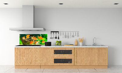 Rivestimento parete cucina con motivo a pesce rosso