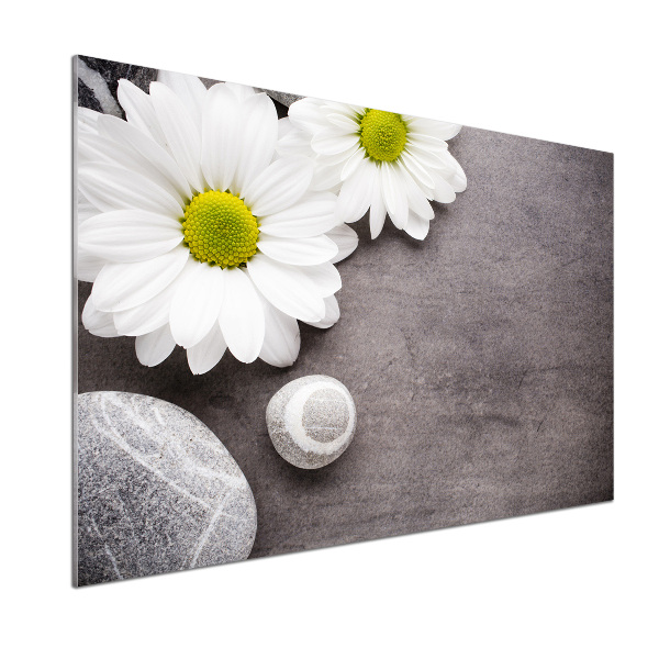 Pannello retrocucina con motivo Gerbera