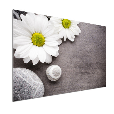 Pannello retrocucina con motivo Gerbera