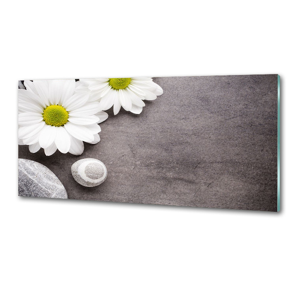 Pannello retrocucina con motivo Gerbera