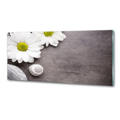 Pannello retrocucina con motivo Gerbera