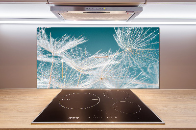 Pannello paraschizzi cucina con motivo di semi di tarassaco