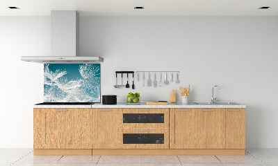 Pannello paraschizzi cucina con motivo di semi di tarassaco