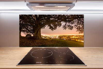 Pannello retrocucina con stampa di un vecchio albero