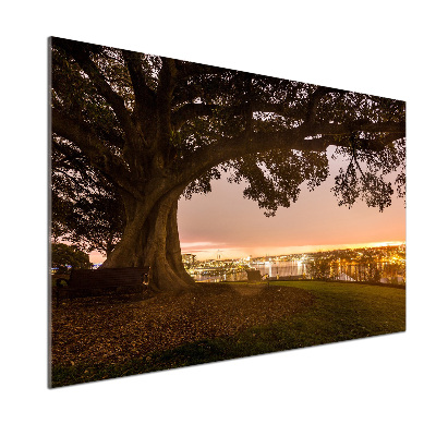 Pannello retrocucina con stampa di un vecchio albero