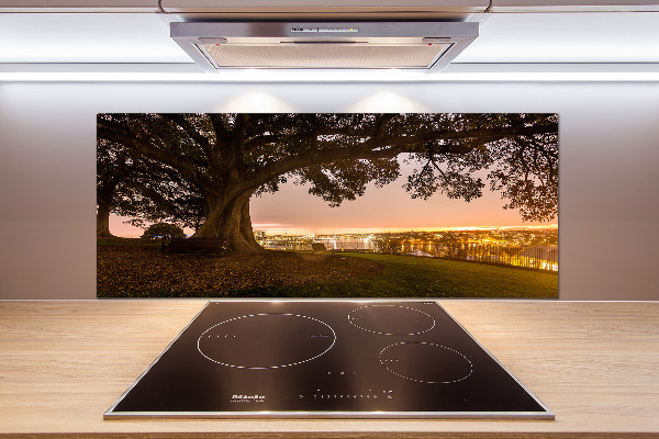 Pannello retrocucina con stampa di un vecchio albero