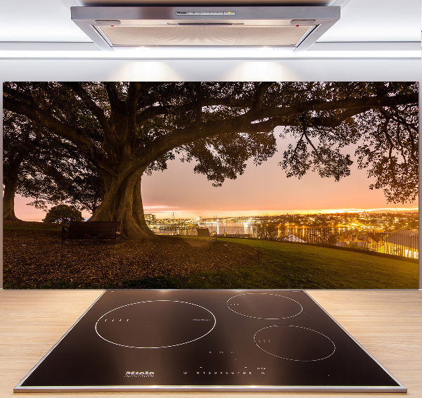 Pannello retrocucina con stampa di un vecchio albero