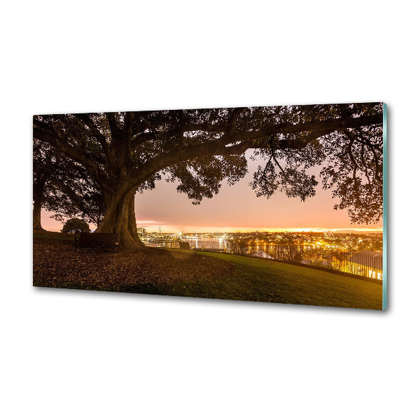 Pannello retrocucina con stampa di un vecchio albero