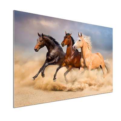 Pannello paraschizzi cucina con stampa raffigurante cavalli al galoppo