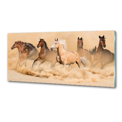 Rivestimento parete cucina con motivo Cavalli del deserto