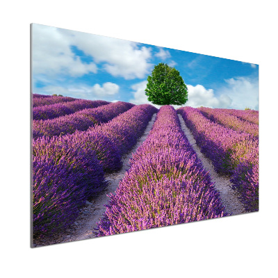 Pannello retrocucina con motivo a campo di lavanda