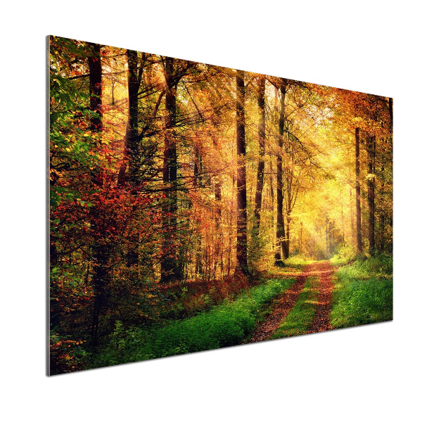 Rivestimento parete cucina con motivo Foresta in autunno