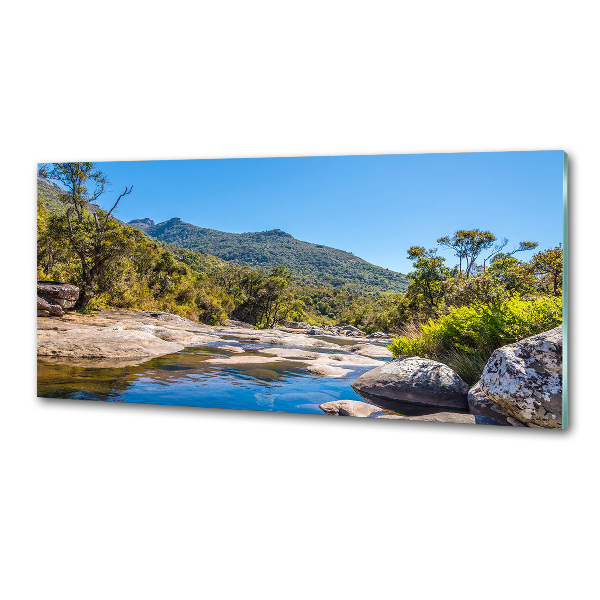 Pannello paraschizzi cucina con stampa raffigurante un fiume nella foresta