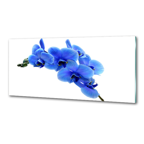 Pannello retrocucina con motivo orchidea blu