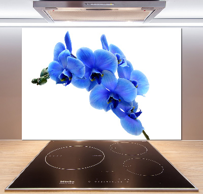 Pannello retrocucina con motivo orchidea blu