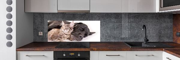Rivestimento parete cucina con stampa raffigurante un cane e un gatto