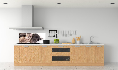 Rivestimento parete cucina con stampa raffigurante un cane e un gatto