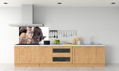 Rivestimento parete cucina con stampa raffigurante un cane e un gatto