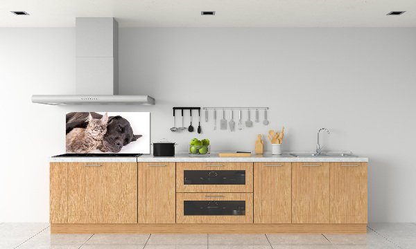 Rivestimento parete cucina con stampa raffigurante un cane e un gatto