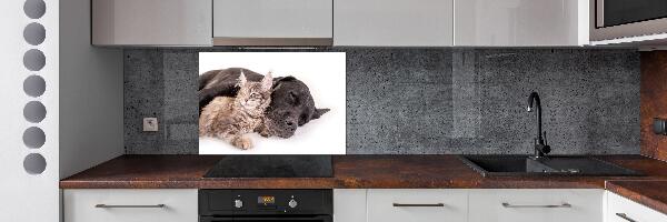 Rivestimento parete cucina con stampa raffigurante un cane e un gatto