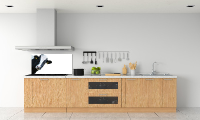 Pannello retrocucina con motivo mucca