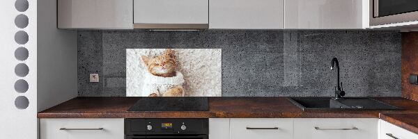 Rivestimento parete cucina con motivo di gattino con il maglione