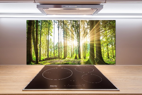 Pannello paraschizzi cucina con stampa 