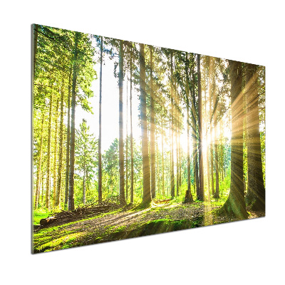 Pannello paraschizzi cucina con stampa 