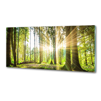 Pannello paraschizzi cucina con stampa 