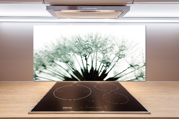 Pannello paraschizzi cucina con motivo a semi di tarassaco