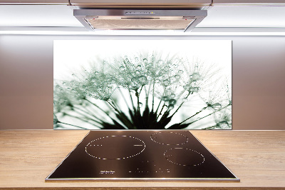 Pannello paraschizzi cucina con motivo a semi di tarassaco