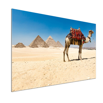 Pannello paraschizzi cucina con motivo 