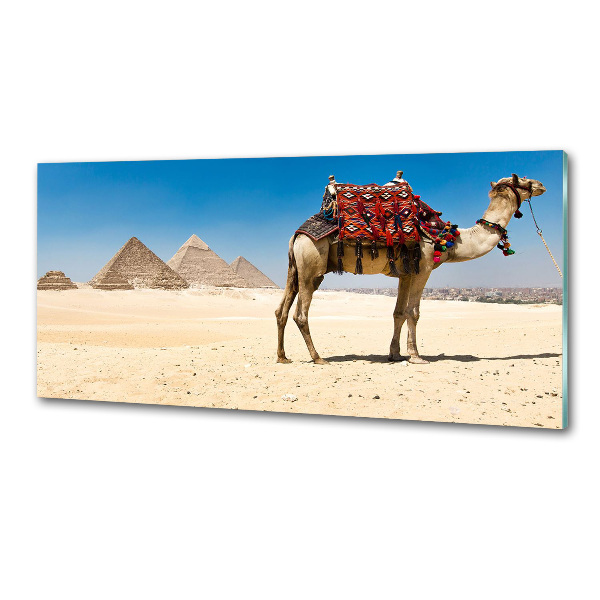 Pannello paraschizzi cucina con motivo 