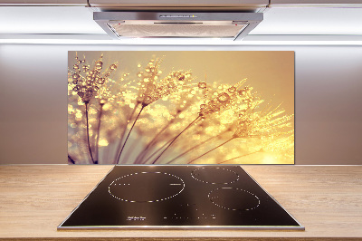 Rivestimento parete cucina con motivo a semi di tarassaco