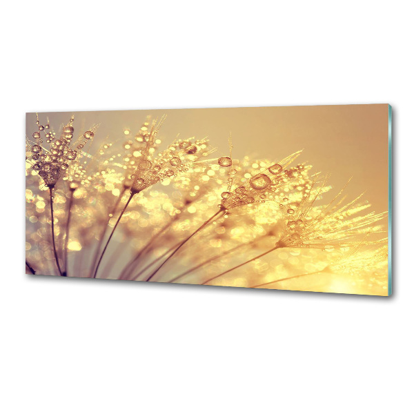 Rivestimento parete cucina con motivo a semi di tarassaco