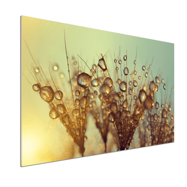 Pannello retrocucina con motivo a semi di tarassaco