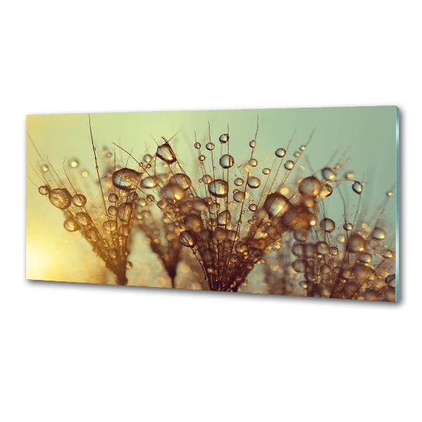 Pannello retrocucina con motivo a semi di tarassaco