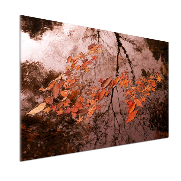 Pannello paraschizzi cucina con motivo 