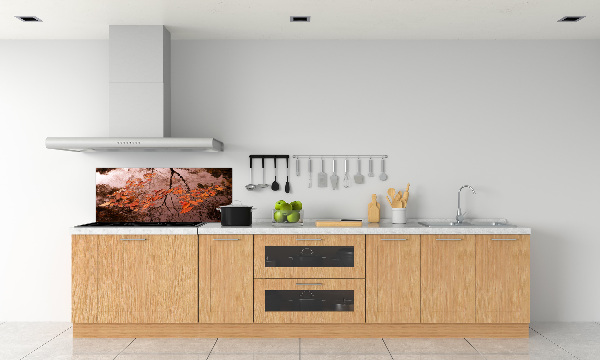 Pannello paraschizzi cucina con motivo 